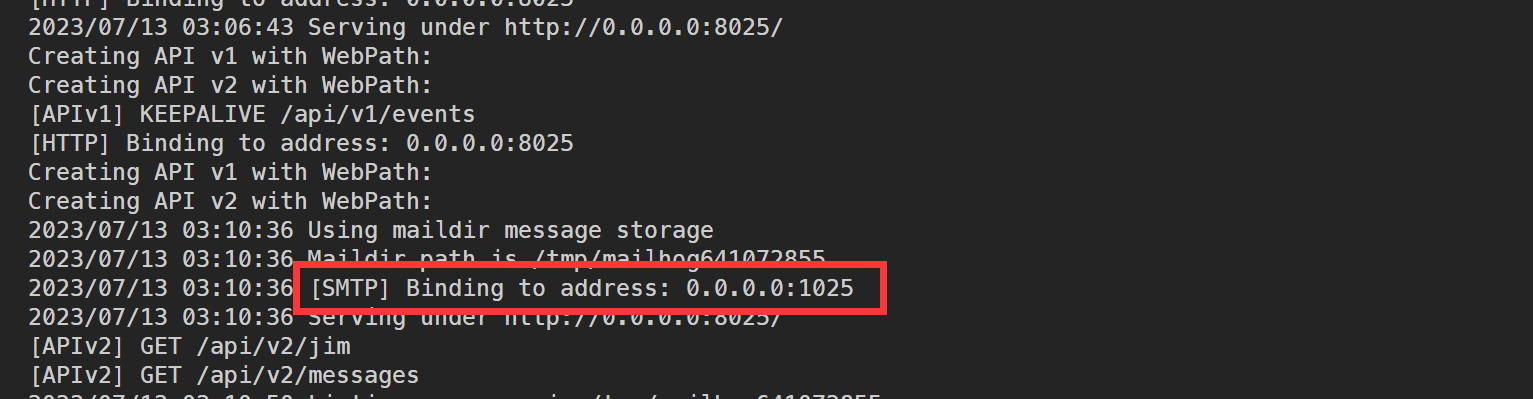 Конфигурация MailHog