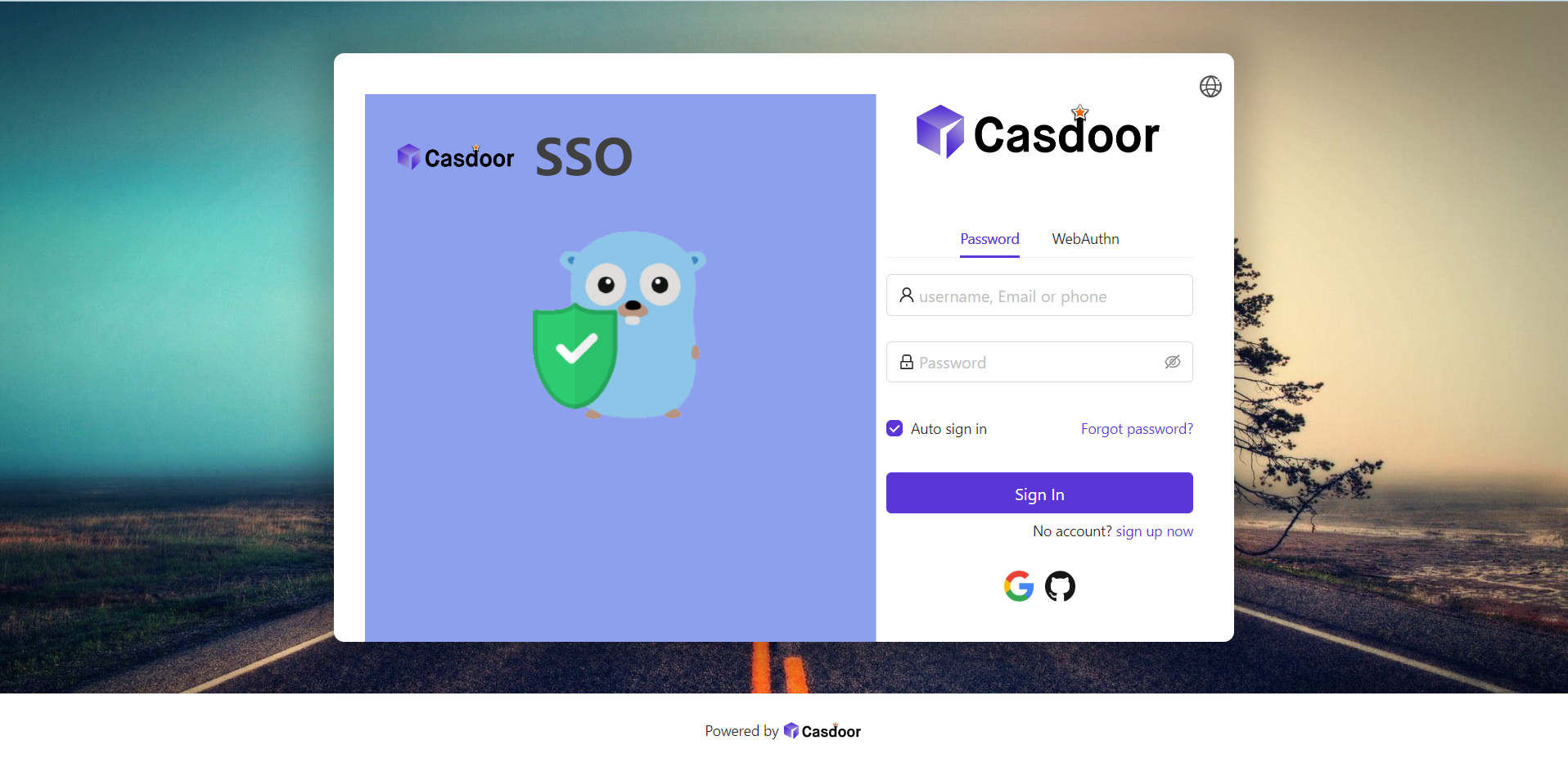 步骤 4_result1.png